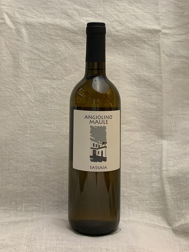 Garganega bianco “Sassaia” 2019