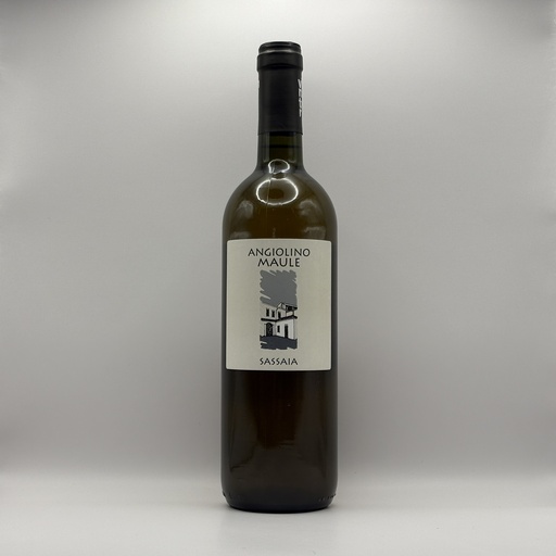 Garganega bianco “Sassaia” 2019